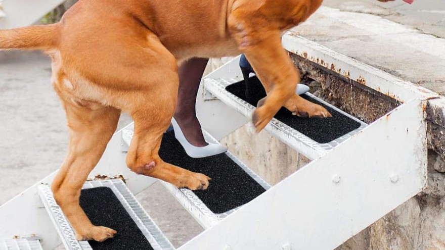 防滑貼，撐起一把生命的保護傘-防滑貼大量批發供應【昆山黄瓜AV在线下载】