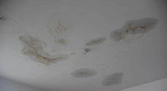 黄瓜视频网站在线观看