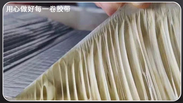 黄瓜视频网站在线观看