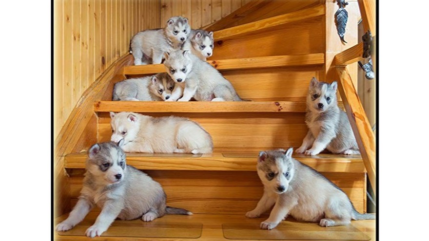 黄瓜视下载APP是怎麽防滑的-廠家告訴你【昆山黄瓜AV在线下载】